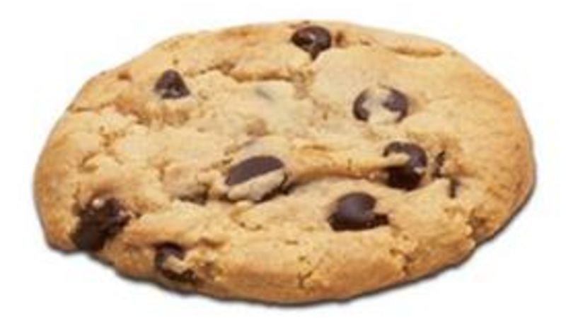  A chocolate chip cookie